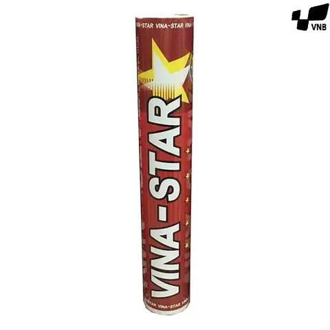 Ống Cầu Lông Vina Star: Chọn Loại Nào Tốt Nhất Cho Tập Luyện & Thi Đấu?