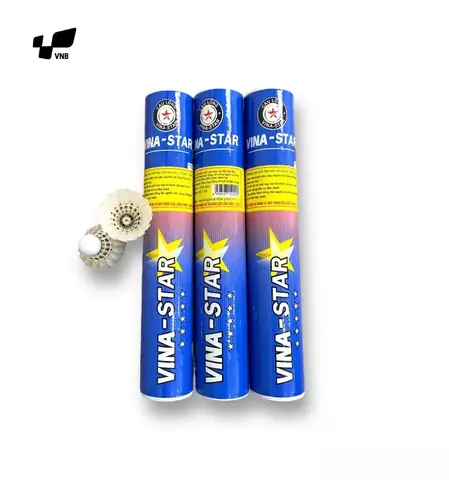 Ống Cầu Lông Vina Star: Chọn Loại Nào Tốt Nhất Cho Tập Luyện & Thi Đấu?
