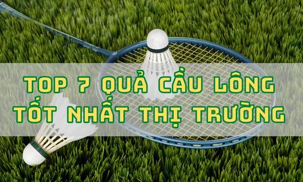 Top 10 Quả Cầu Lông Bền Nhất: Tiêu Chí Chọn Lựa Và Đánh Giá Chi Tiết