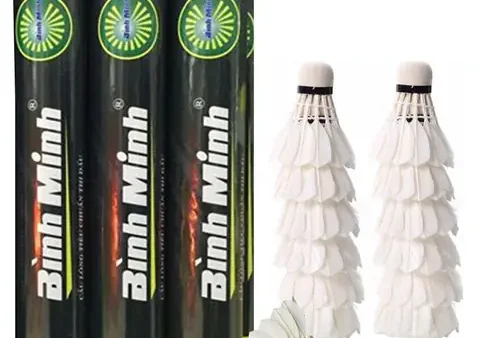 Ống Cầu Lông Bình Minh: Đặc Điểm, Ưu Điểm Và Nơi Mua Chính Hãng