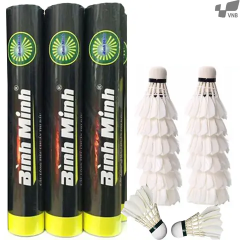 Ống Cầu Lông Bình Minh: Đặc Điểm, Ưu Điểm Và Nơi Mua Chính Hãng Ống Cầu Lông Bình Minh: Đặc Điểm, Ưu Điểm Và Nơi Mua Chính Hãng
