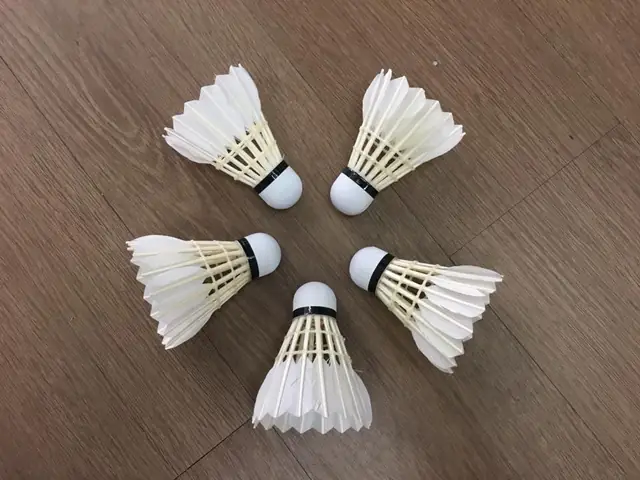 Quả Cầu Lông Đắt Nhất Thế Giới: Khám Phá Yonex AS-50 Và Các Lựa Chọn Cao Cấp Khác