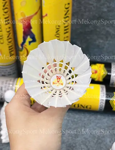 Quả Cầu Lông Phương Hương: Đánh Giá Chi Tiết, Thông Số Và Nơi Mua Chính Hãng