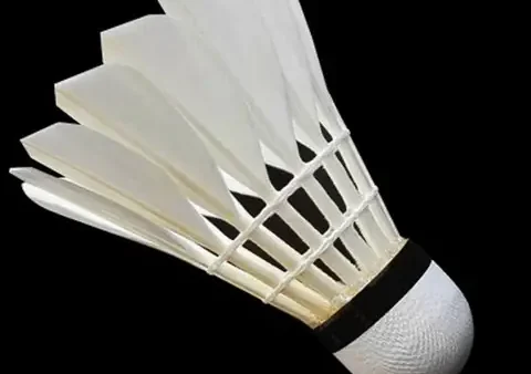 Tải Miễn Phí Hình Ảnh Quả Cầu Lông PNG Chất Lượng Cao Cho Mọi Thiết Kế