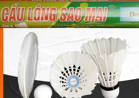 Quả Cầu Lông Tiêu Chuẩn Thi Đấu: Tiêu Chí, Cấu Tạo Và Kinh Nghiệm Chọn Mua