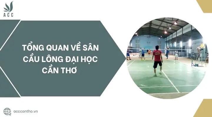 Sân Cầu Lông Đại Học Cần Thơ: Thông Tin Chi Tiết & Hướng Dẫn Đặt Sân
