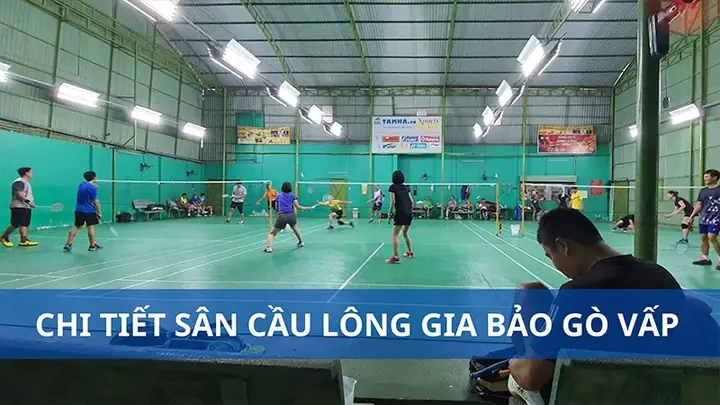 Sân Cầu Lông Gia Bảo: Review Chi Tiết Địa Chỉ, Giá Thuê & Tiện Ích Gò Vấp