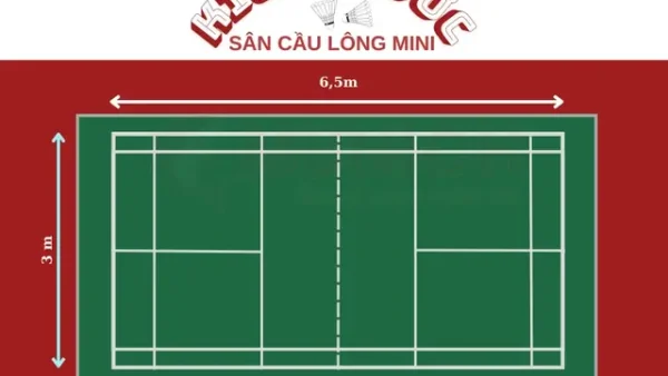 Kích Thước Sân Cầu Lông Mini Chuẩn: Hướng Dẫn Chi Tiết Cho Người Chơi