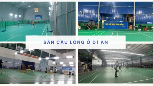 Danh Sách Sân Cầu Lông Uy Tín, Giá Tốt Nhất Tại Dĩ An