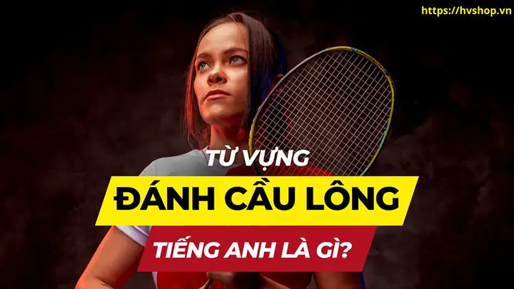 Sân Cầu Lông Tiếng Anh Là Gì? Định Nghĩa Và Các Thuật Ngữ Liên Quan Chi Tiết