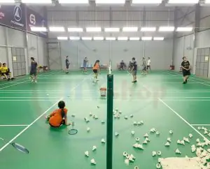 Top Sân Cầu Lông Tại Trường Phú Nhuận & Khu Vực Lân Cận: Hướng Dẫn Chi Tiết