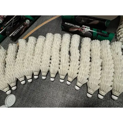 Set Cầu Lông Bao Nhiêu Điểm? Luật Chơi, Cách Tính Điểm Đơn & Đôi Chi Tiết