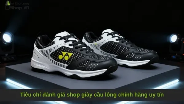 Top 10 Shop Bán Giày Cầu Lông Uy Tín TPHCM: Giá Tốt, Chính Hãng