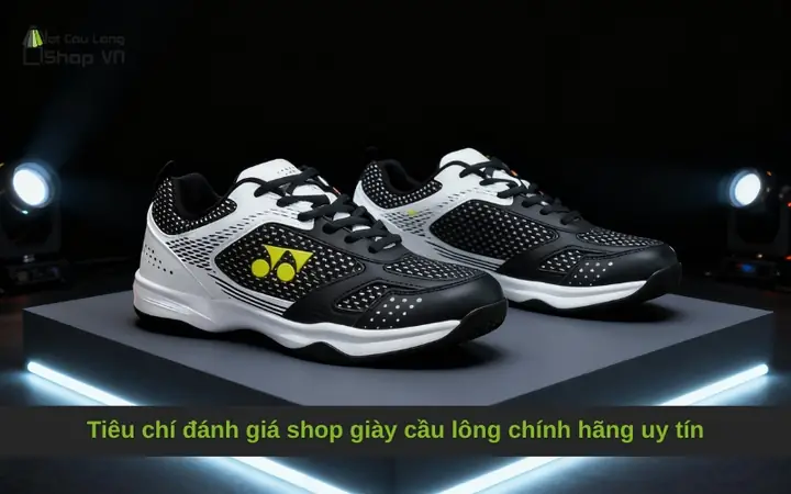 Top 10 Shop Bán Giày Cầu Lông Uy Tín TPHCM: Giá Tốt, Chính Hãng