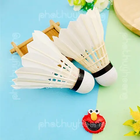 Hướng Dẫn Chi Tiết Mua Sỉ Quả Cầu Lông: Nơi Bán, Kinh Nghiệm Và Lưu Ý