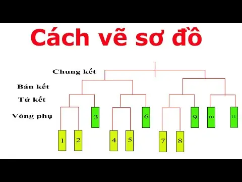 Hướng Dẫn Chi Tiết Cách Vẽ Sơ Đồ Thi Đấu Cầu Lông Loại Trực Tiếp