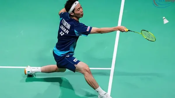 Cầu Lông Vs Tennis: Môn Nào Tốn Sức, Tốn Kém Hơn Và Sự Khác Biệt Chi Tiết?