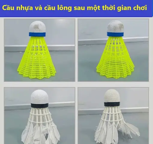 So Sánh Cầu Lông Nhựa Và Cầu Lông Vũ: Nên Chọn Loại Nào?