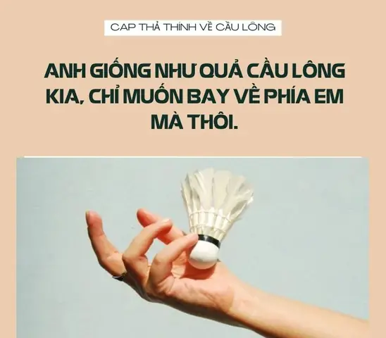 STT Hay Về Cầu Lông: Tuyển Tập Status, Cap Thả Thính & Thơ Độc Đáo STT Hay Về Cầu Lông: Tuyển Tập Status, Cap Thả Thính & Thơ Độc Đáo