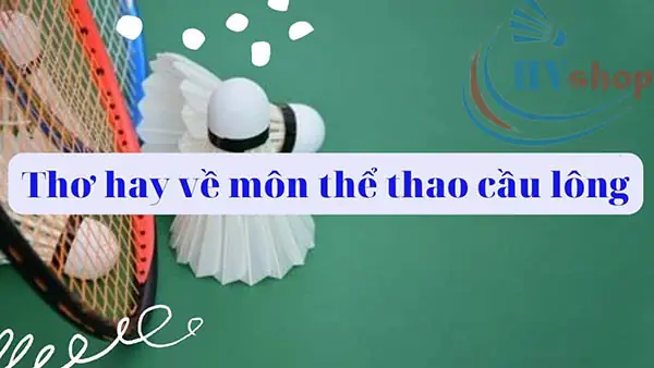 STT Hay Về Cầu Lông: Tuyển Tập Status, Cap Thả Thính & Thơ Độc Đáo 1 STT Hay Về Cầu Lông: Tuyển Tập Status, Cap Thả Thính & Thơ Độc Đáo