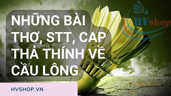 STT Hay Về Cầu Lông: Tuyển Tập Status, Cap Thả Thính & Thơ Độc Đáo STT Hay Về Cầu Lông: Tuyển Tập Status, Cap Thả Thính & Thơ Độc Đáo