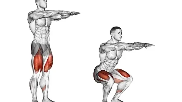 Bài Tập Thể Lực Cầu Lông: Tăng Sức Bền, Sức Mạnh Toàn Diện Cho Người Chơi