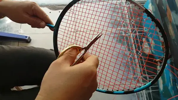 Thay Dây Vợt Cầu Lông: Giá Bao Nhiêu, Khi Nào Cần Thay Và Địa Chỉ Uy Tín