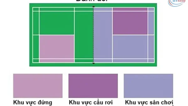 Luật Thi Đấu Cầu Lông Chuẩn: Từ Cơ Bản Đến Nâng Cao Cho Mọi Cấp Độ