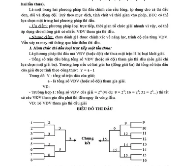 Thể Thức Thi Đấu Cầu Lông: Đơn, Đôi & Cách Tổ Chức Giải Đấu Chi Tiết
