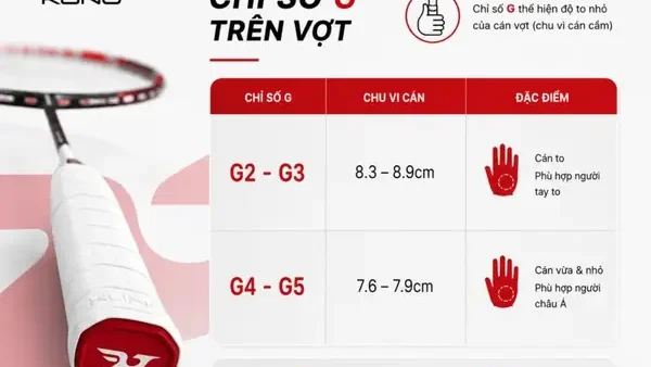 Thông Số U Và G Trên Vợt Cầu Lông: Hướng Dẫn Chi Tiết Từ Chuyên Gia