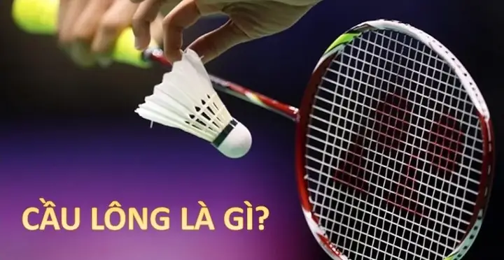 Tìm Hiểu Toàn Diện Về Môn Cầu Lông: Khái Niệm, Luật Chơi, Lợi Ích Và Kỹ Thuật Cho Người Mới Bắt Đầu Tìm Hiểu Toàn Diện Về Môn Cầu Lông: Khái Niệm, Luật Chơi, Lợi Ích Và Kỹ Thuật Cho Người Mới Bắt Đầu