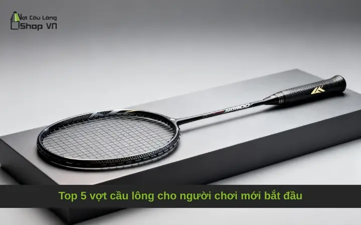 Top 10 Vợt Cầu Lông Tốt Nhất Cho Người Mới Chơi: Chọn Vợt Dễ Đánh, Bền Bỉ