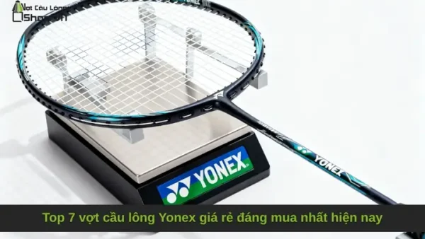 Top 10+ Vợt Cầu Lông Giá Rẻ Dưới 500k Cho Người Mới Chơi & Học Sinh 2025