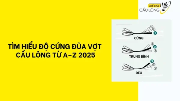Vợt Cầu Lông Cứng: Lợi Ích, Cách Chọn Và Top Mẫu Phù Hợp Cho Mọi Trình Độ