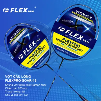 Vợt Cầu Lông Flex Pro: Đánh Giá, Đặc Điểm Và Lựa Chọn Tốt Nhất