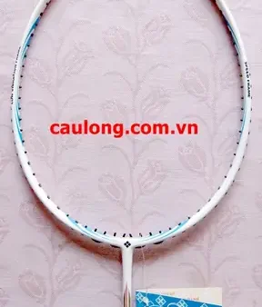 Vợt Cầu Lông MMOA: Mẫu Mã, Giá Cả Và Địa Chỉ Mua Uy Tín
