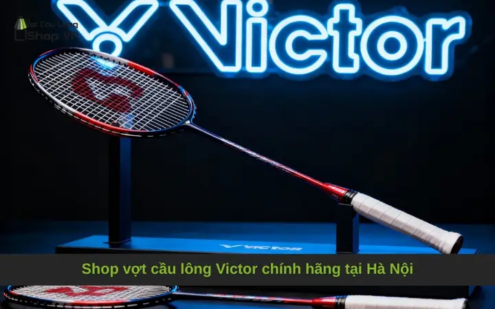 Mua Vợt Cầu Lông Tại Hà Nội: Địa Chỉ Uy Tín & Kinh Nghiệm Chọn Vợt